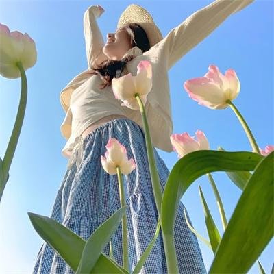 胡桃钳与奇幻四国